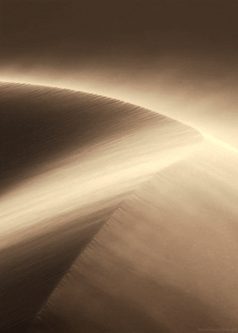 Cyber Desert